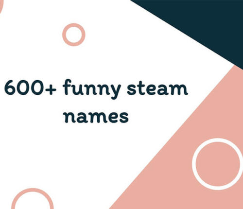 Funny steam names
