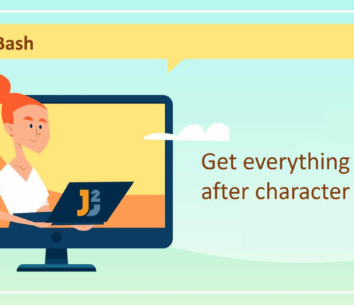 Bash get everything after character