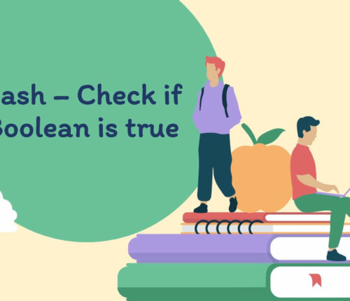 Bash Check if boolean is true