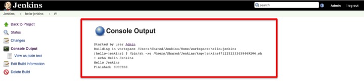 Jenkins console output