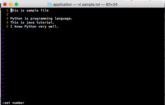 vi editor with line number