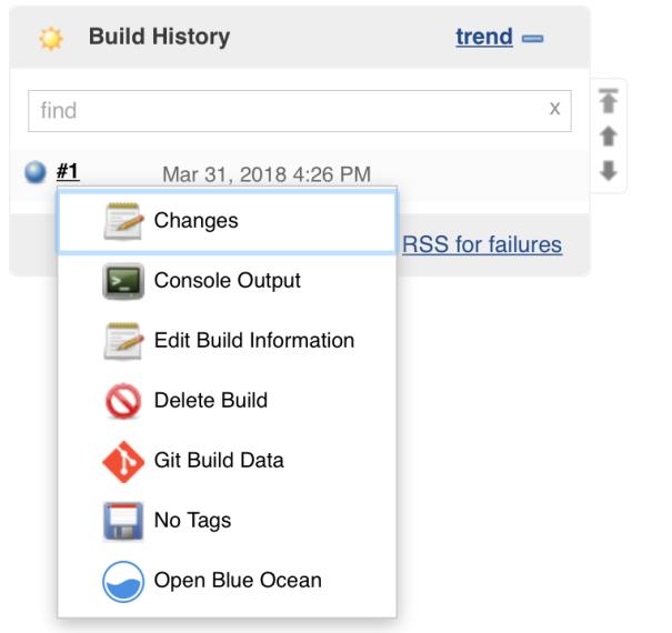 Jenkins Build History