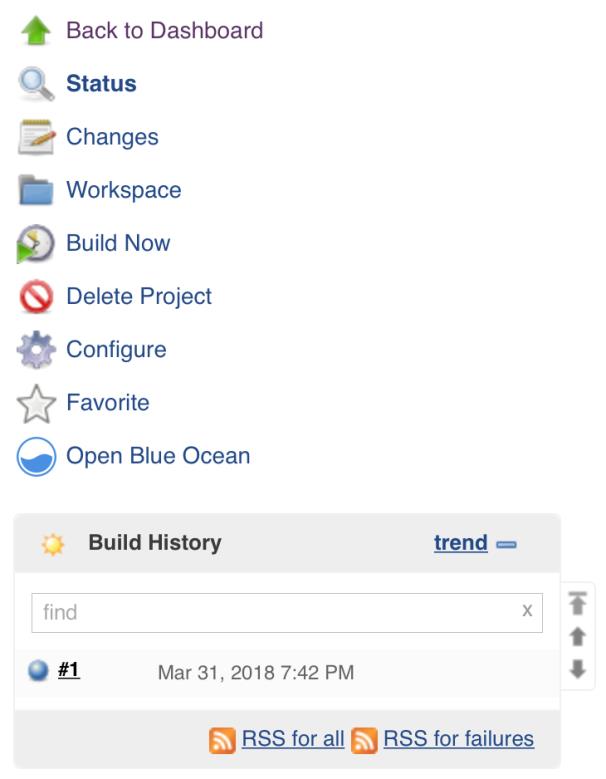 Jenkins Build Now Option