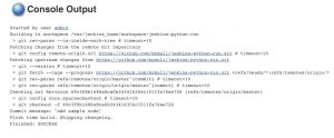 Jenkins Console Output
