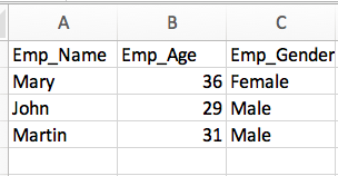 EmployeeCSVCustomColumns
