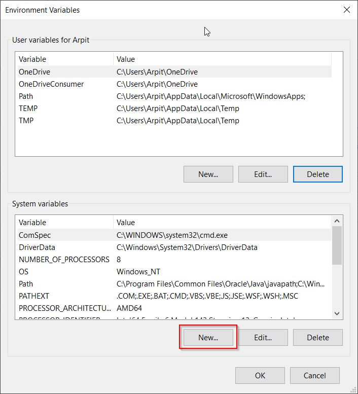 Add new environment variable