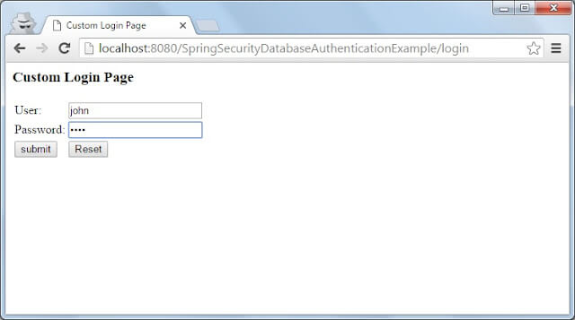 Spring security john login