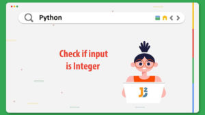 python check if input is integer - Java2Blog