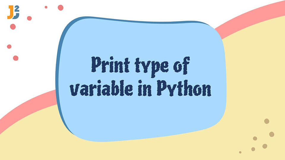 Python print type of variable