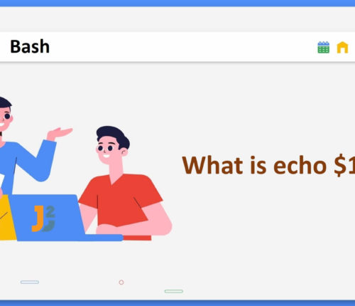 Echo $1 Bash