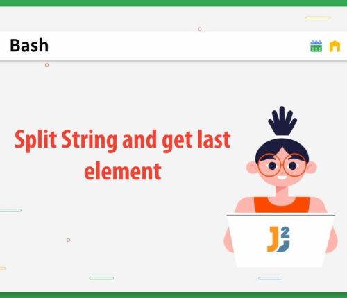 Bash split string and get last element