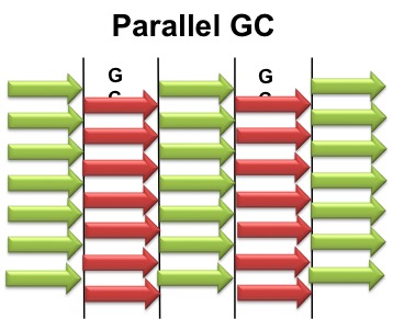 ParallelGC