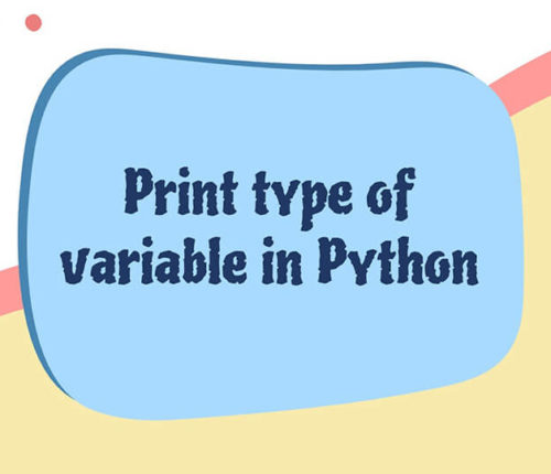 Python print type of variable