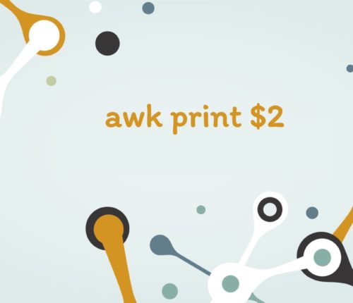 awk print $2