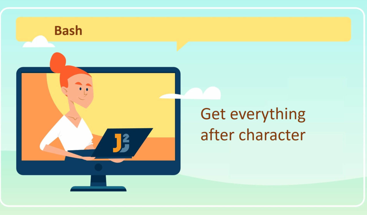 Bash get everything after character