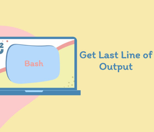 Bash get last line of output